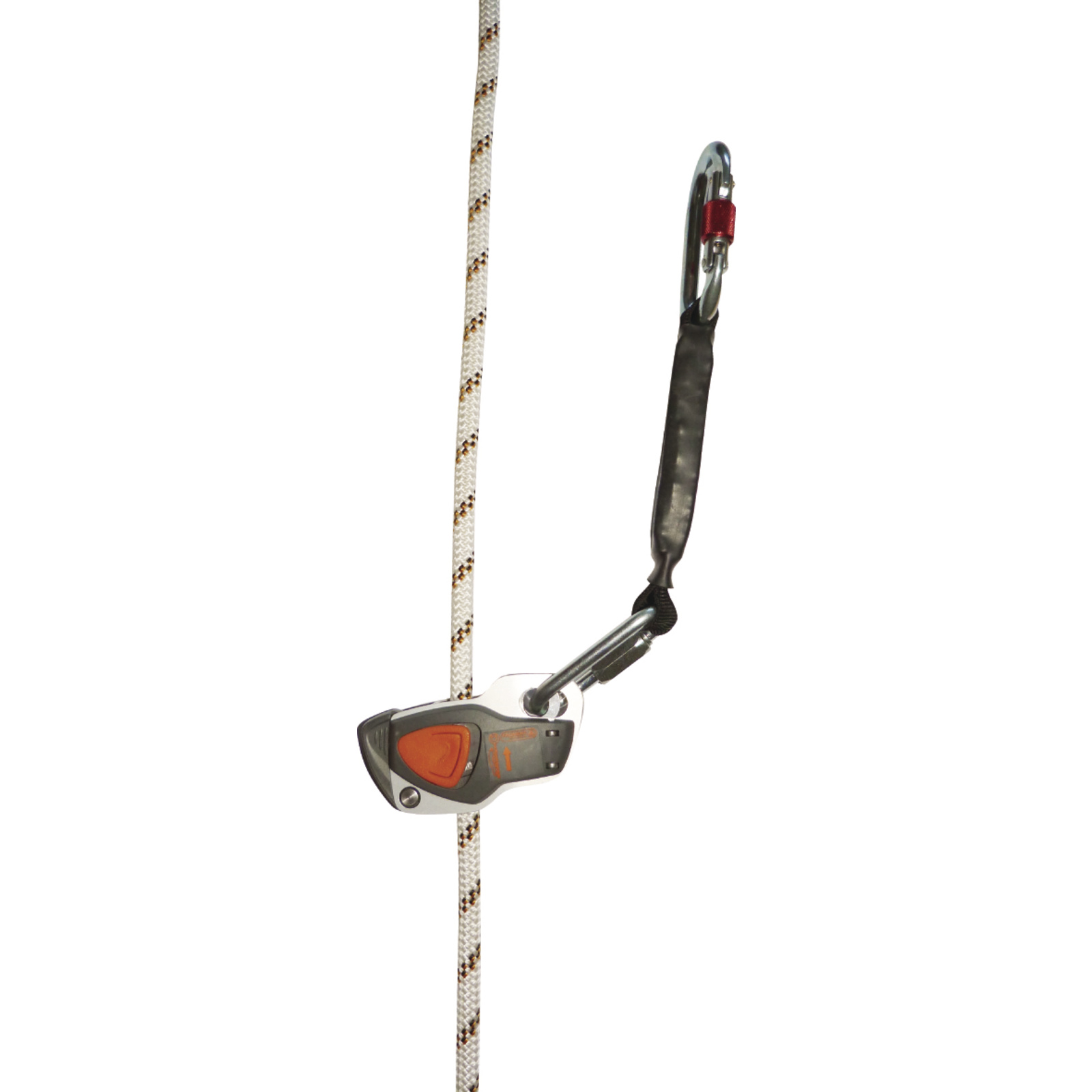 AN066A CAMELEON